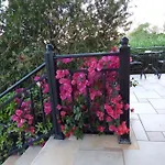 Apartament 1 *